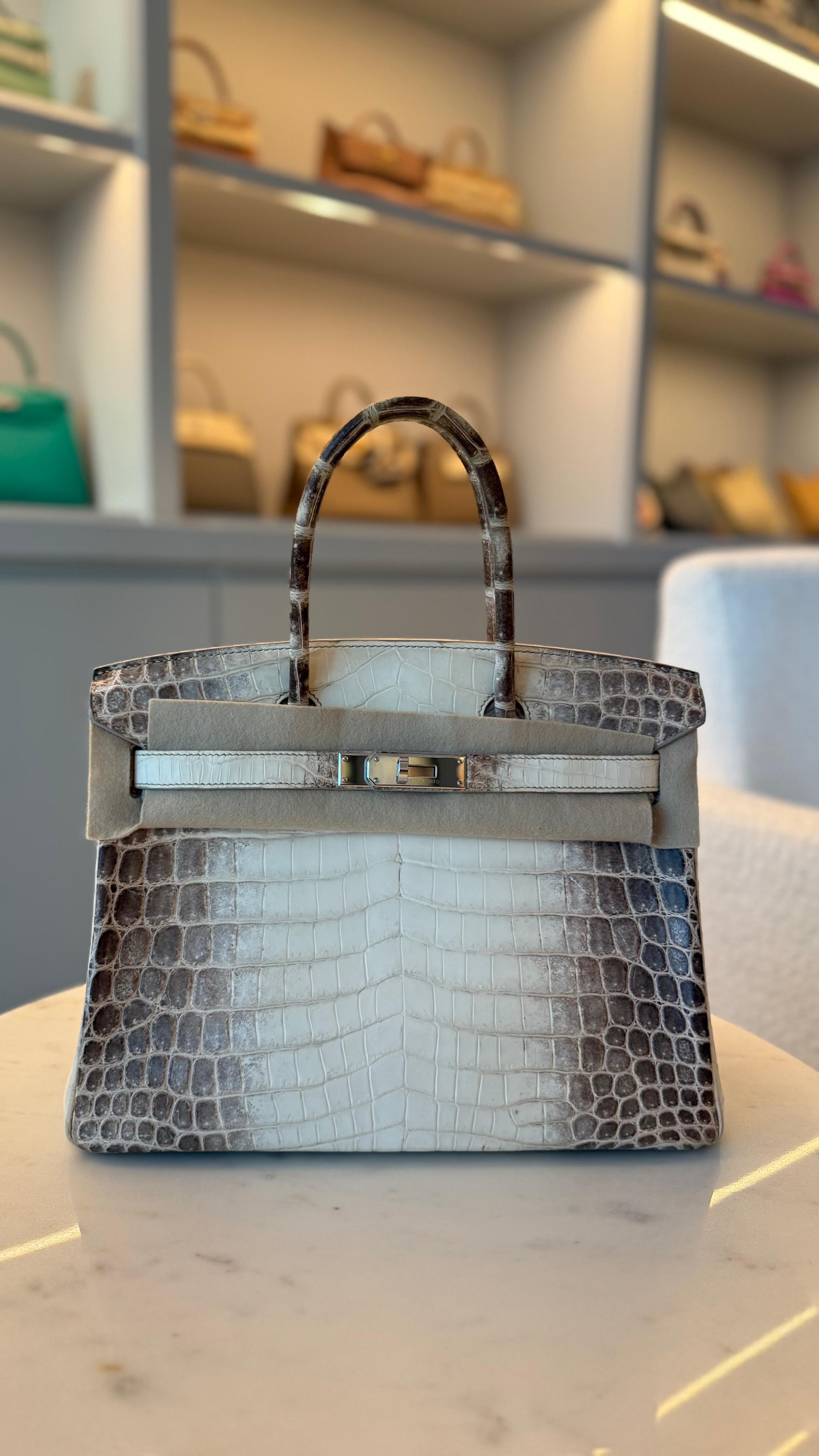 Hermès Birkin Himalaya 30 Himalaya Blanc Niloticus Crocodile
